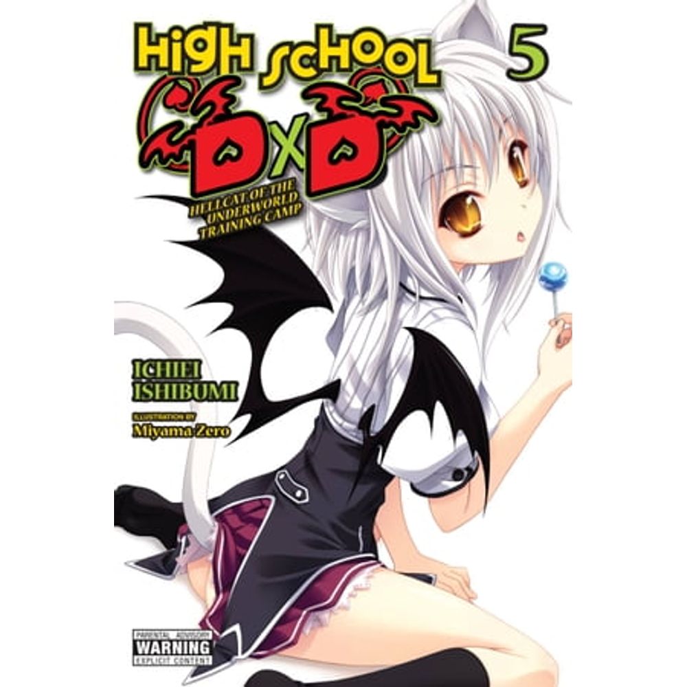 High School DxD, The Light Novel