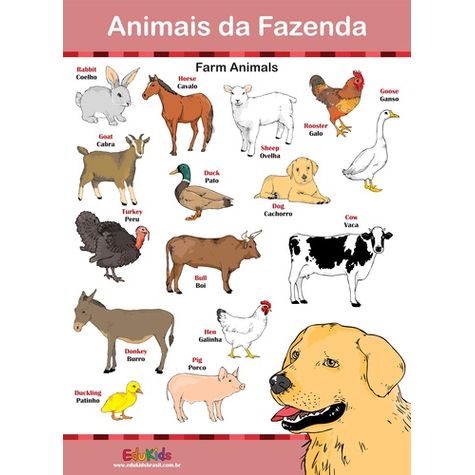 Animais da Fazenda - Curso de Desenho para Crianças